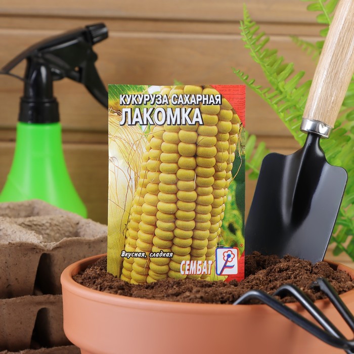 

Семена Кукуруза "Лакомка", 5 г