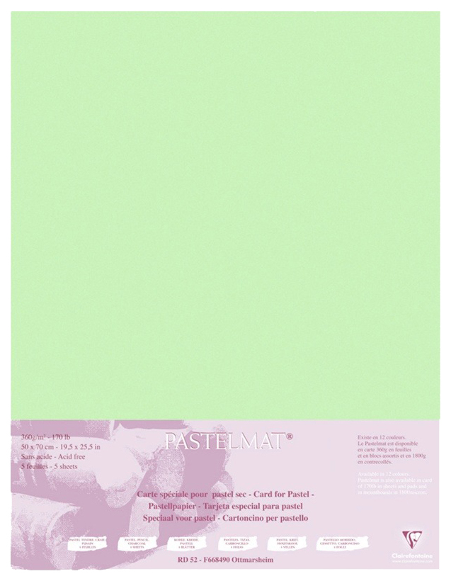 

Бумага для пастели Clairefontaine Pastelmat 500x700 мм 5 листов 360 г/м2 светло-зеленый