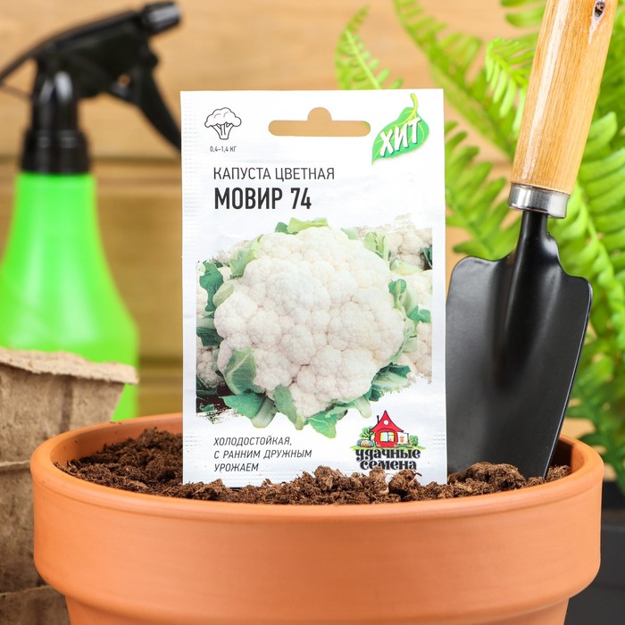 

Семена Капуста цветная "Мовир 74", 0,3 г серия ХИТ х3
