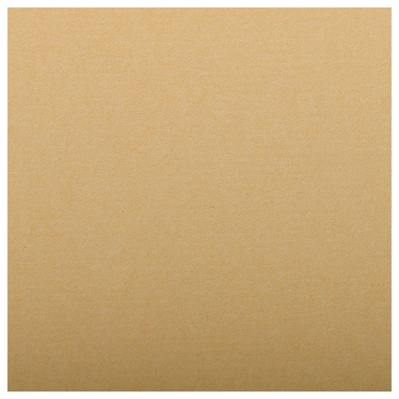 

Бумага для пастели Clairefontaine Ingres 500x650 мм 25 листов 130 г/м2 натуральный