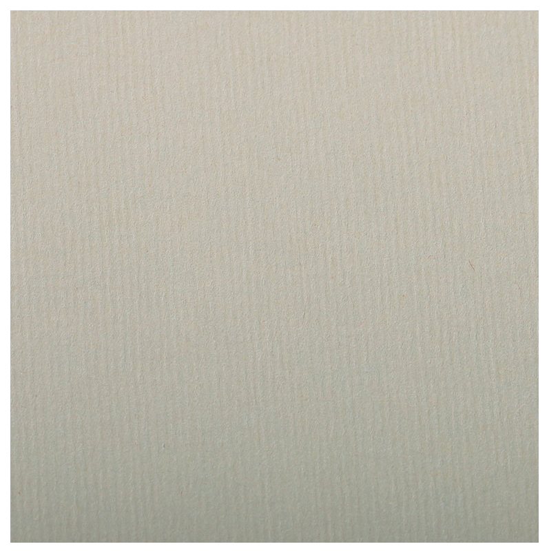 

Бумага для пастели Clairefontaine Ingres 500x650 мм 25 листов 130 г/м2 хлопок металлик