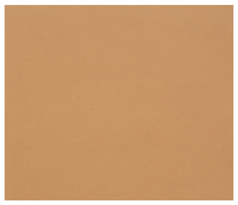Бумага цветная Clairefontaine Tulipe 500x650 мм 25 листов 160 г/м2 светло-коричневый