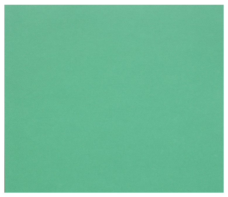 Бумага цветная Clairefontaine Tulipe 500x650 мм 25 листов 160 г/м2 темно-зеленый