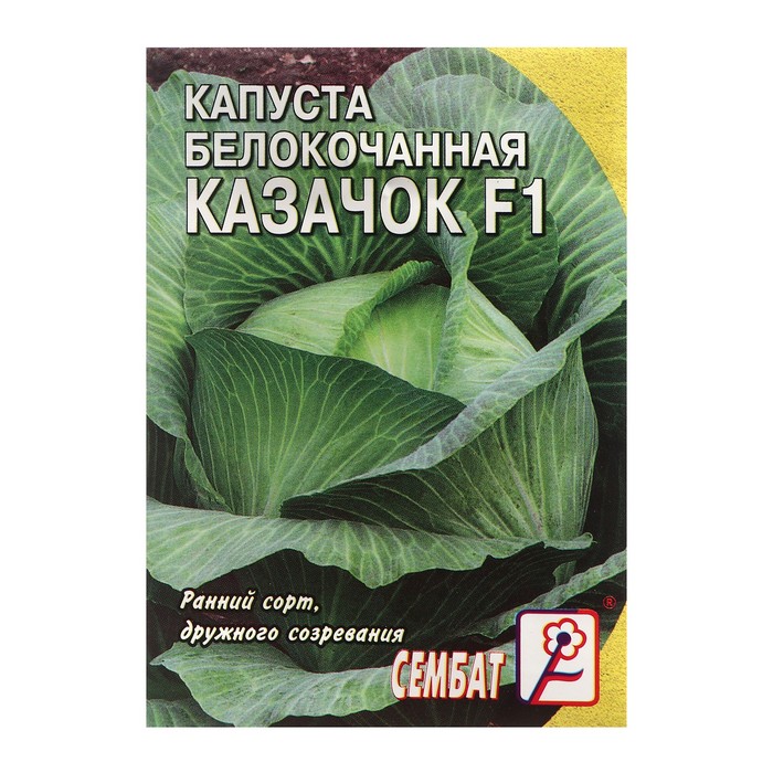 

Семена Капуста белокачанная "Казачок F1", 0,1 г