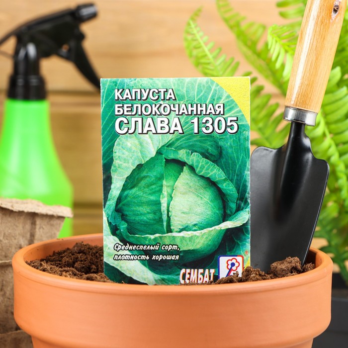 

Семена Капуста белокачанная "Слава 1305", 1 г