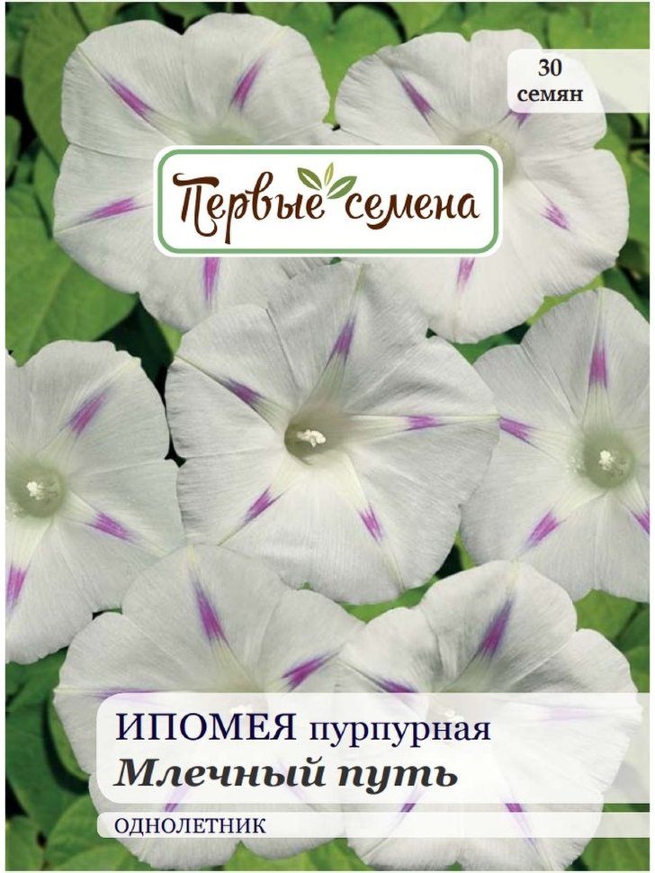 

Семена Первые семена Ипомея пурпурная Млечный путь, 1 г