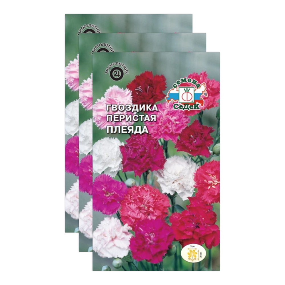 Комплект семян гвоздика Плеяда смесь Седек Многолетние 23-04346 3 упаковки