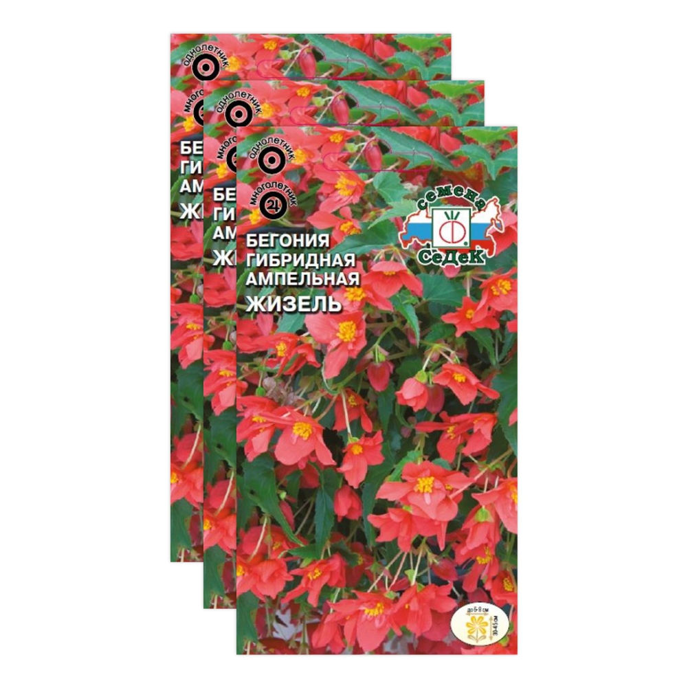 Комплект семян бегония Жизель Седек F1 23-04328 10 семян в упаковке, 3 упаковки