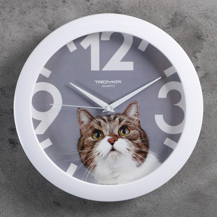 фото Часы настенные, серия: животный мир, "кот", d=29 см, белый обод nobrand