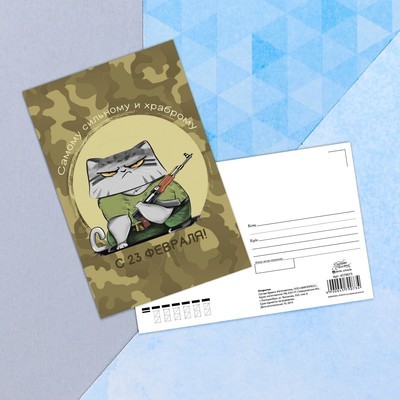 Почтовая карточка «23 февраля» суровый кот, 10 х 15 см (2 шт.)