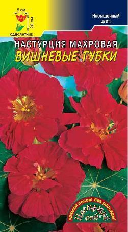 

Семена настурция Цветущий сад Вишневые Губки 1 уп.