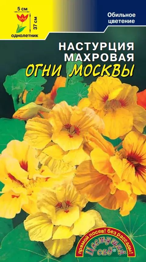 

Семена настурция Цветущий сад Абрикос 1 уп.