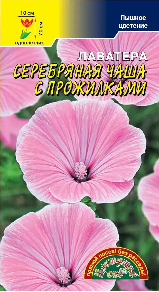 

Семена лаватера Цветущий сад Серебряная чаша 1 уп.
