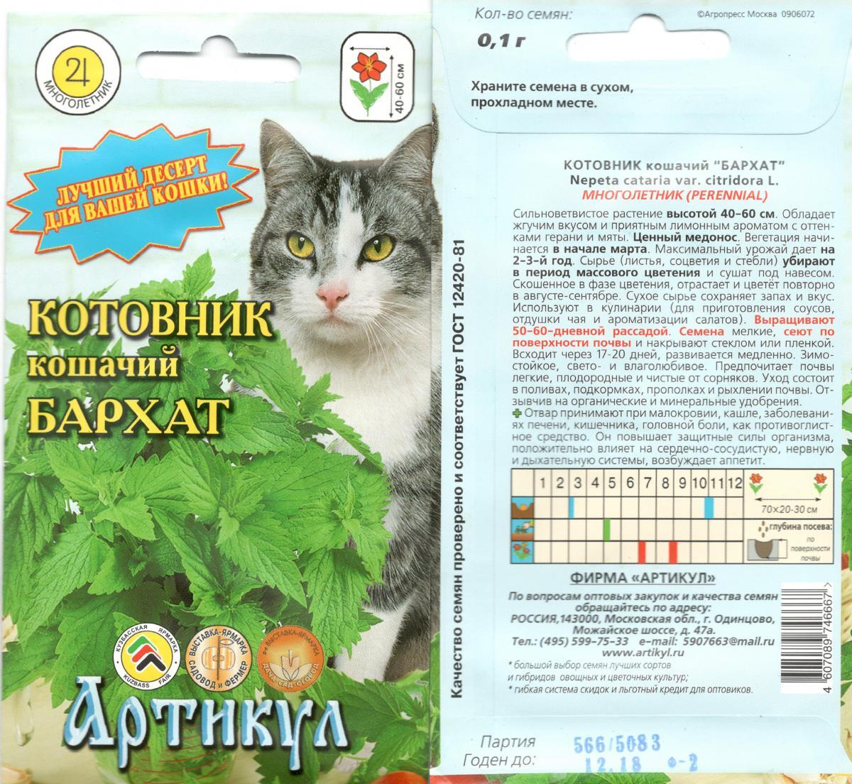 

Семена Котовник кошачий Бархат Уральский Дачник