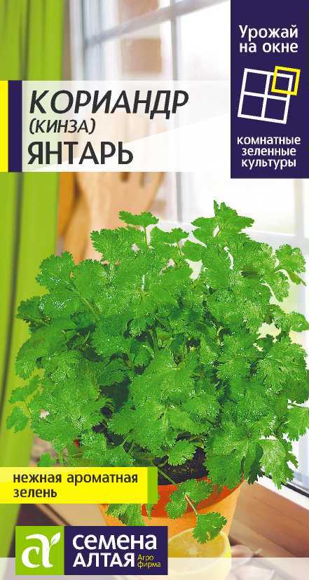 

Семена кориандр Семена Алтая Янтарь 16726 1 уп.