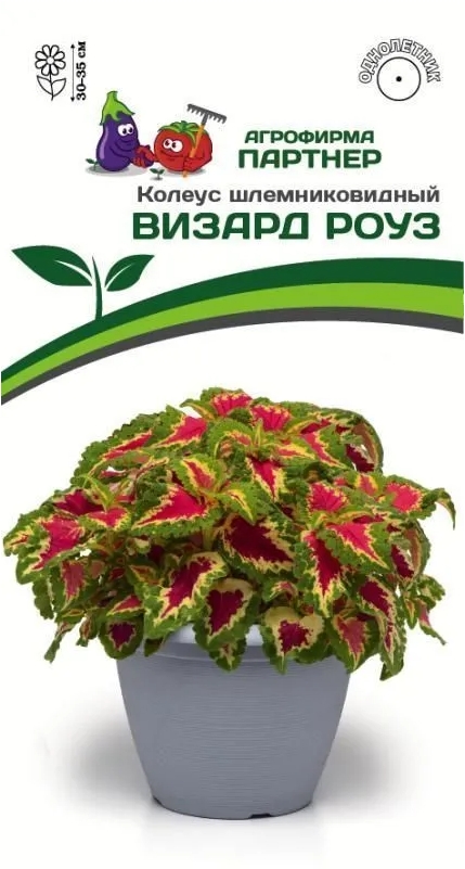 

Семена колеус Агрофирма Партнер Визард Роуз 16386 1 уп.