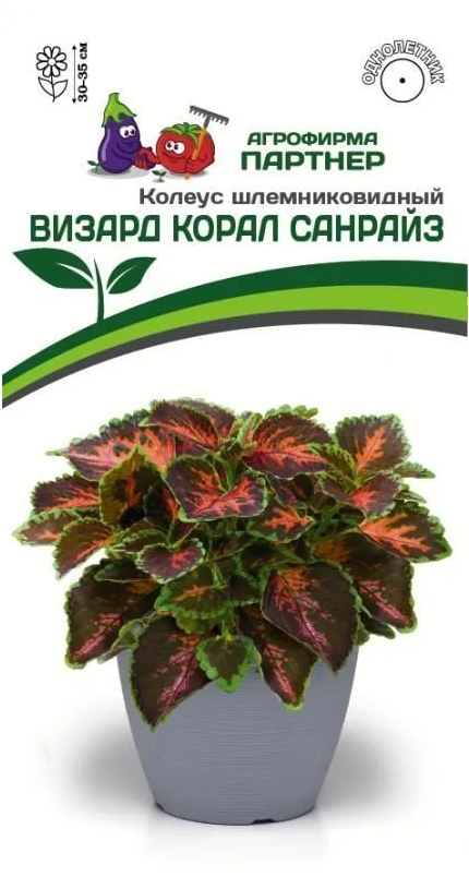 

Семена колеус Агрофирма Партнер Визард Корал Санрайз 16385 1 уп.