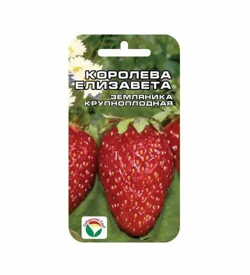 

Семена Клубника Королева Елизавета 10 шт Сибирский сад, 2 шт