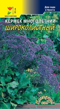 

Семена кермек Цветущий сад Широколистный 1 уп.