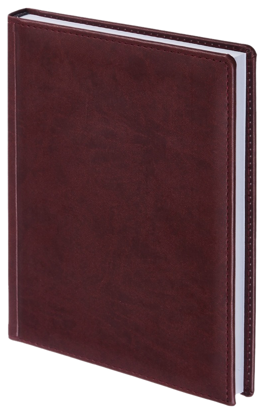 

Ежедневник Attache 61157 Вива недатированный A5