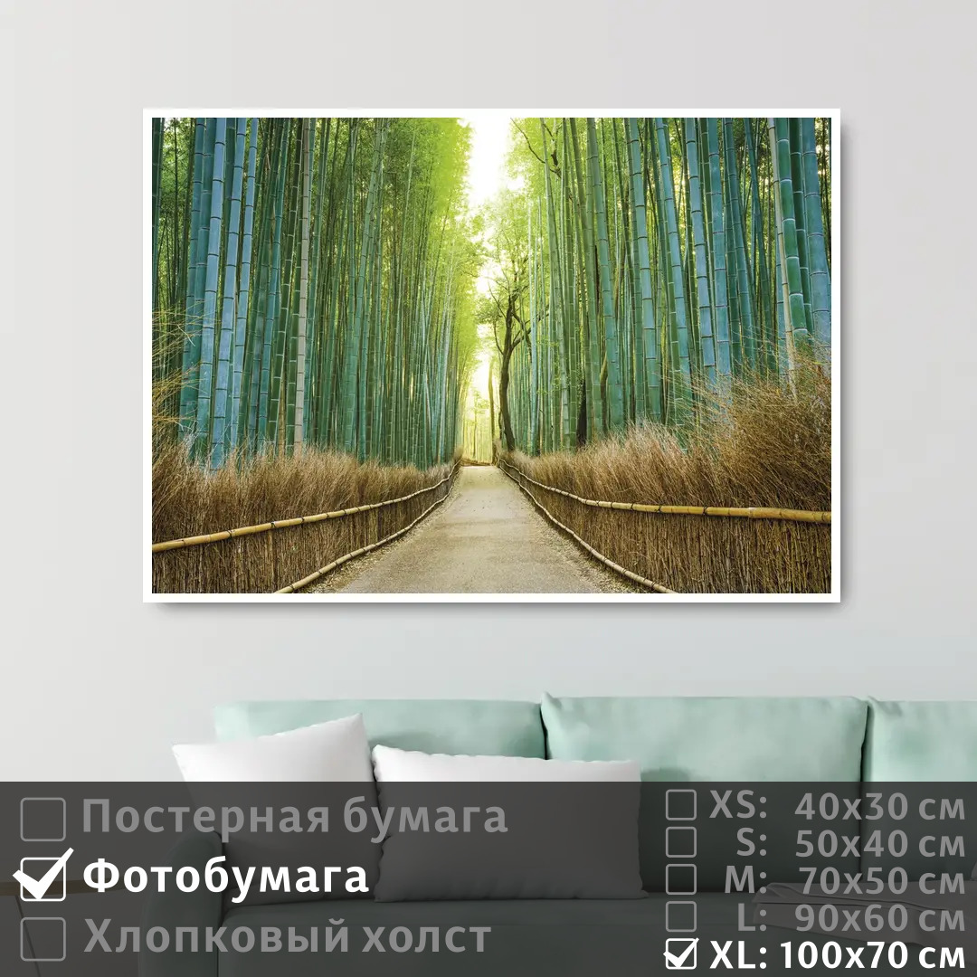 

Постер на фотобумаге ПолиЦентр Бамбуковый лес в японии 100х70 см, БамбуковыйЛесВЯпонии1