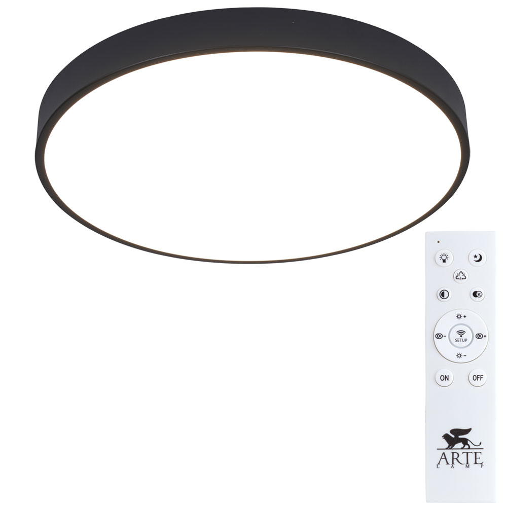 

Светильник Arte Lamp ARENA A2672PL-1BK