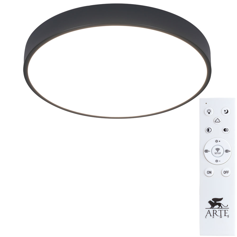 

Светильник Arte Lamp ARENA A2661PL-1BK