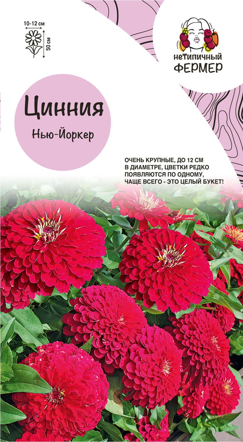 

Цинния F1 НЬЮ-ЙОРКЕР (4шт) НФ, "Нетипичный Фермер", УТ-00003908