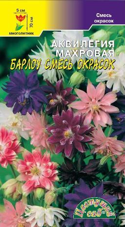 

Семена аквилегия Барлоу 1 уп.