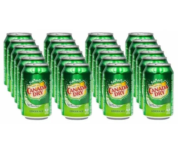 

Газированный напиток Canada Dry Ginger Ale - имбирный эль (Польша), 330 мл (24 шт)