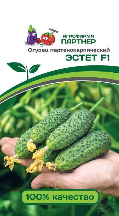 Семена огурец Эстет F1 Нетипичный Фермер 166664 1 уп.