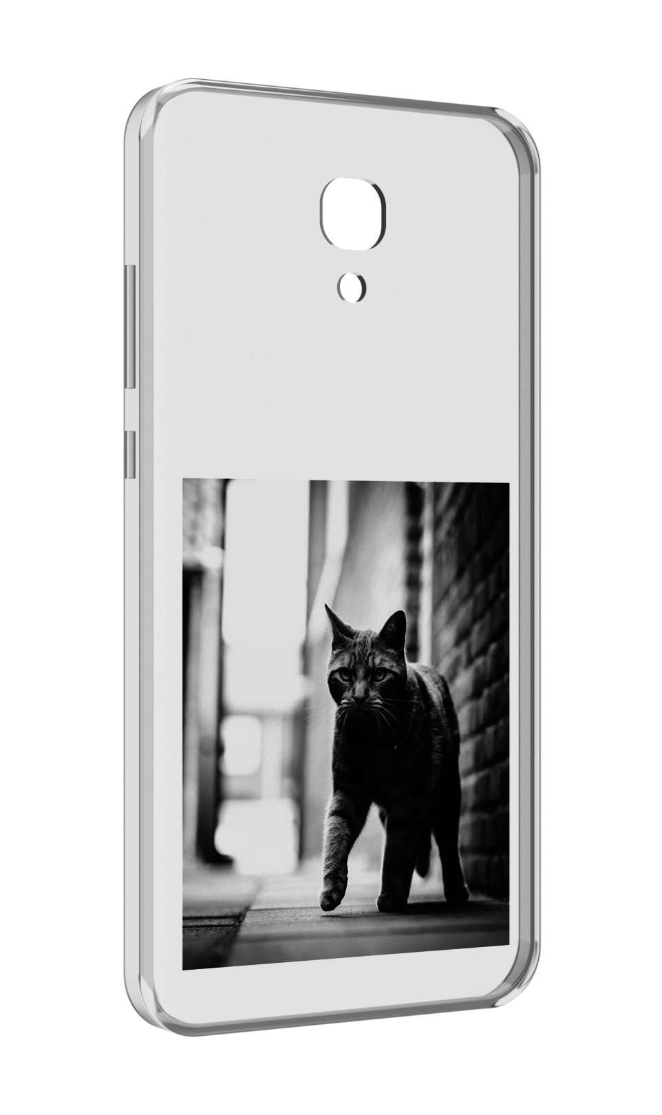 

Чехол MyPads Важный-кот для Meizu M6 (M711Q), Прозрачный, Tocco