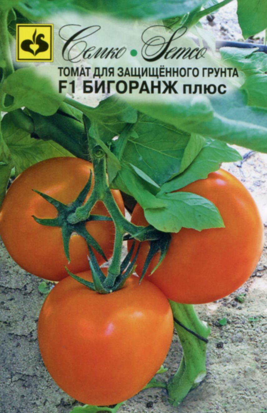 

Семена томат Бигоранж плюс F1 Семко 1 уп., томата_988888879999