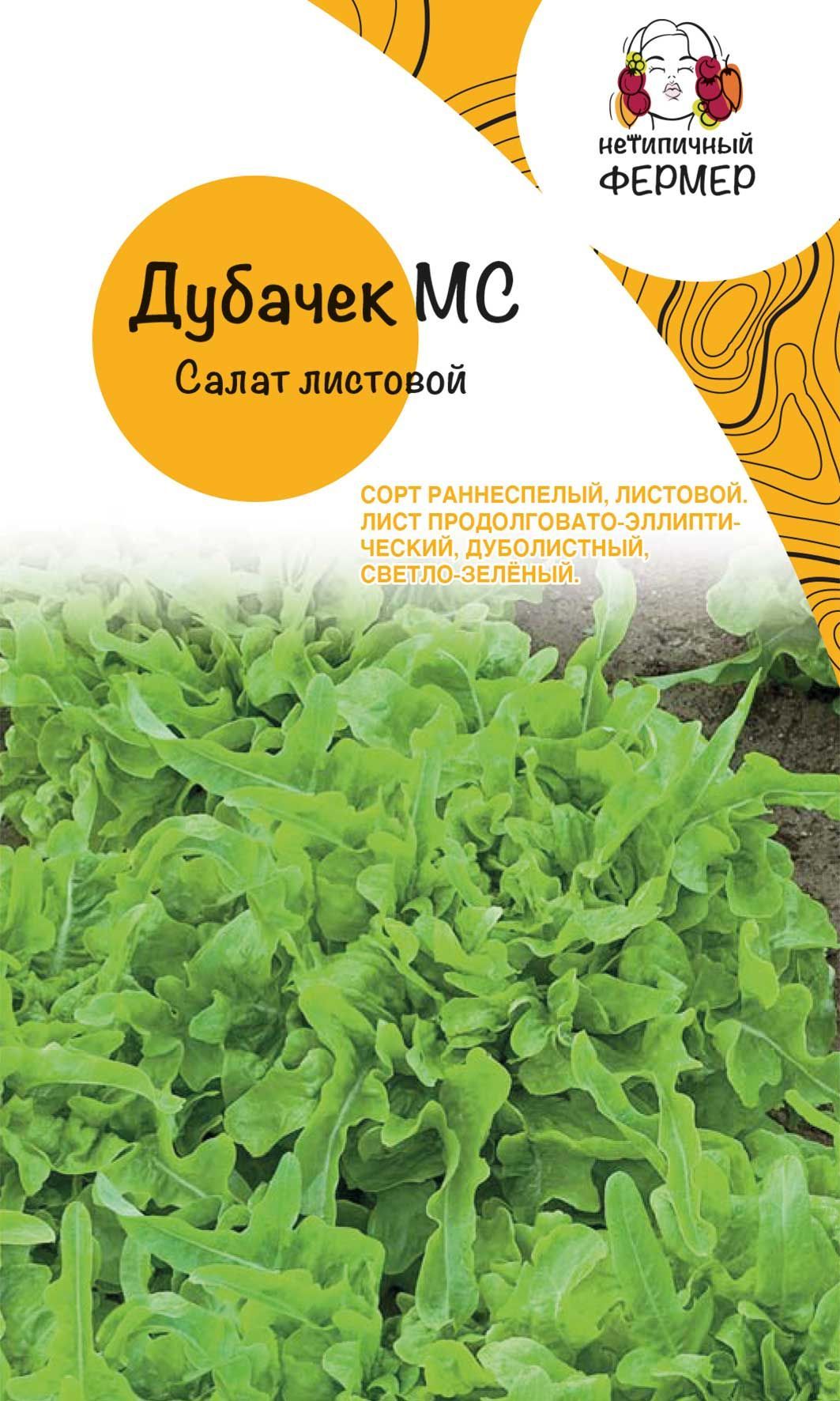 Семена салат Дубачек Нетипичный Фермер TLTRST1999 1 уп.