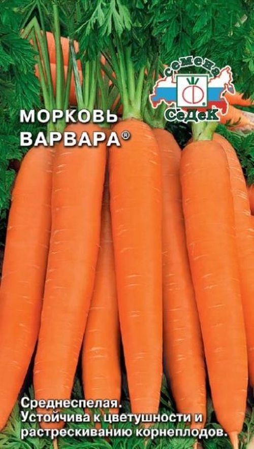 Семена морковь Варвара СеДеК 1488 1 уп.