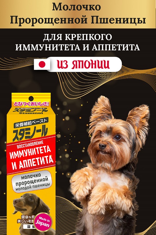 фото Лакомство для собак japan premium pet , оригинальная форма, молоко, 0.224г, 1 шт