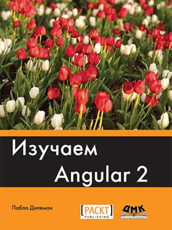 фото Книга изучаем angular 2 дмк пресс