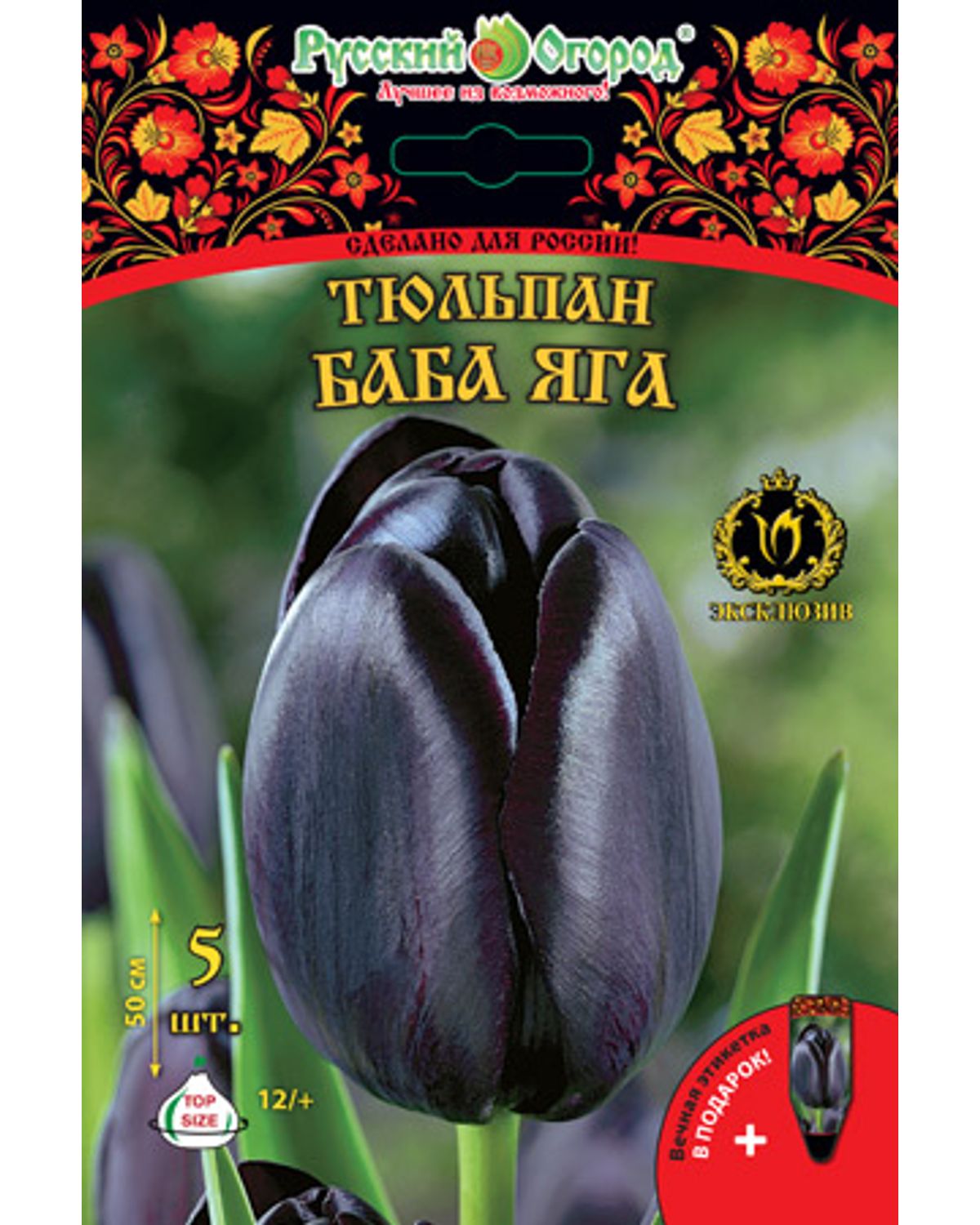

Тюльпан Баба Яга Русский огород 201304