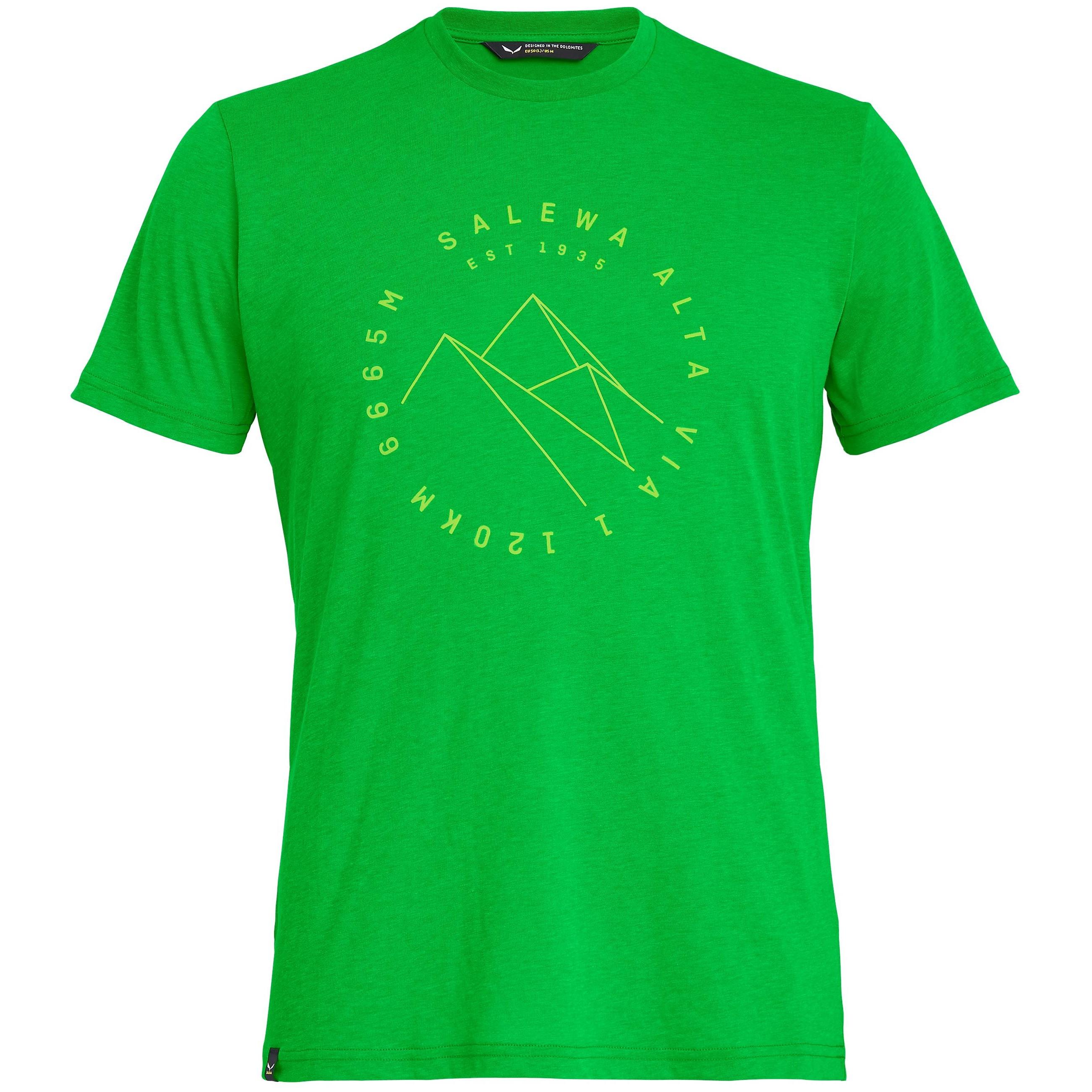 фото Футболка salewa alta via dri-rel m s/s tee, classic green melang, s