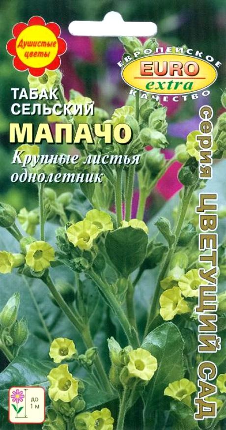 

Табак Мапачо сельский