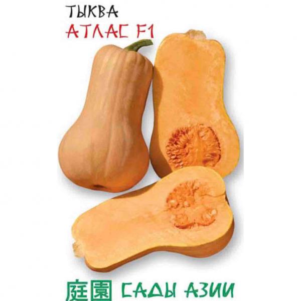 

Семена тыква Сады Азии Атлас F1 22992 1 уп.