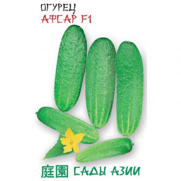 Семена огурец Сады Азии Афсар F1 22953 1 уп.