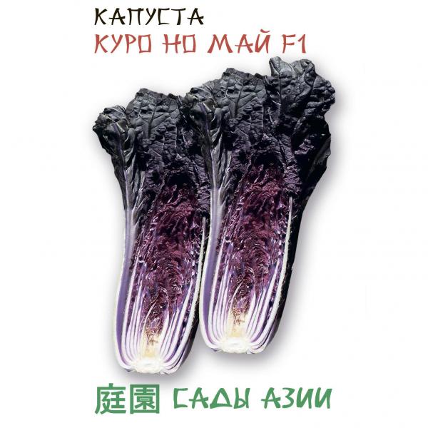 

Семена капуста китайская Сады Азии Куро но май F1 22936 1 уп.