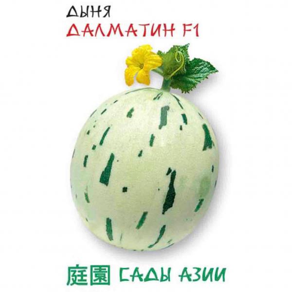 

Семена дыня Сады Азии Далматин F1 22916 1 уп.