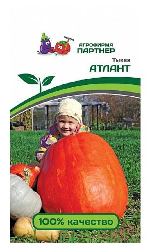 

Семена тыква Агрофирма Партнер Атлант 22455 1 уп.
