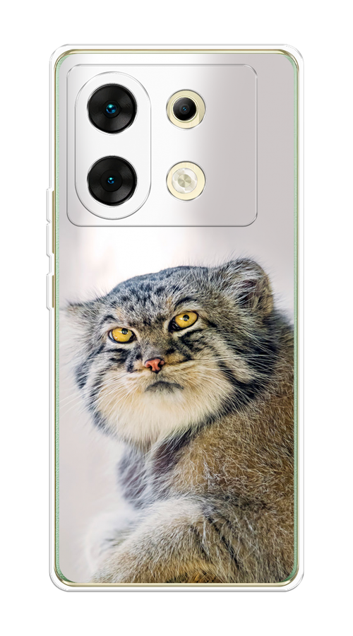 

Чехол на Infinix Zero 30 5G "Кот манул 1", Серый;белый;желтый, 3104950-1