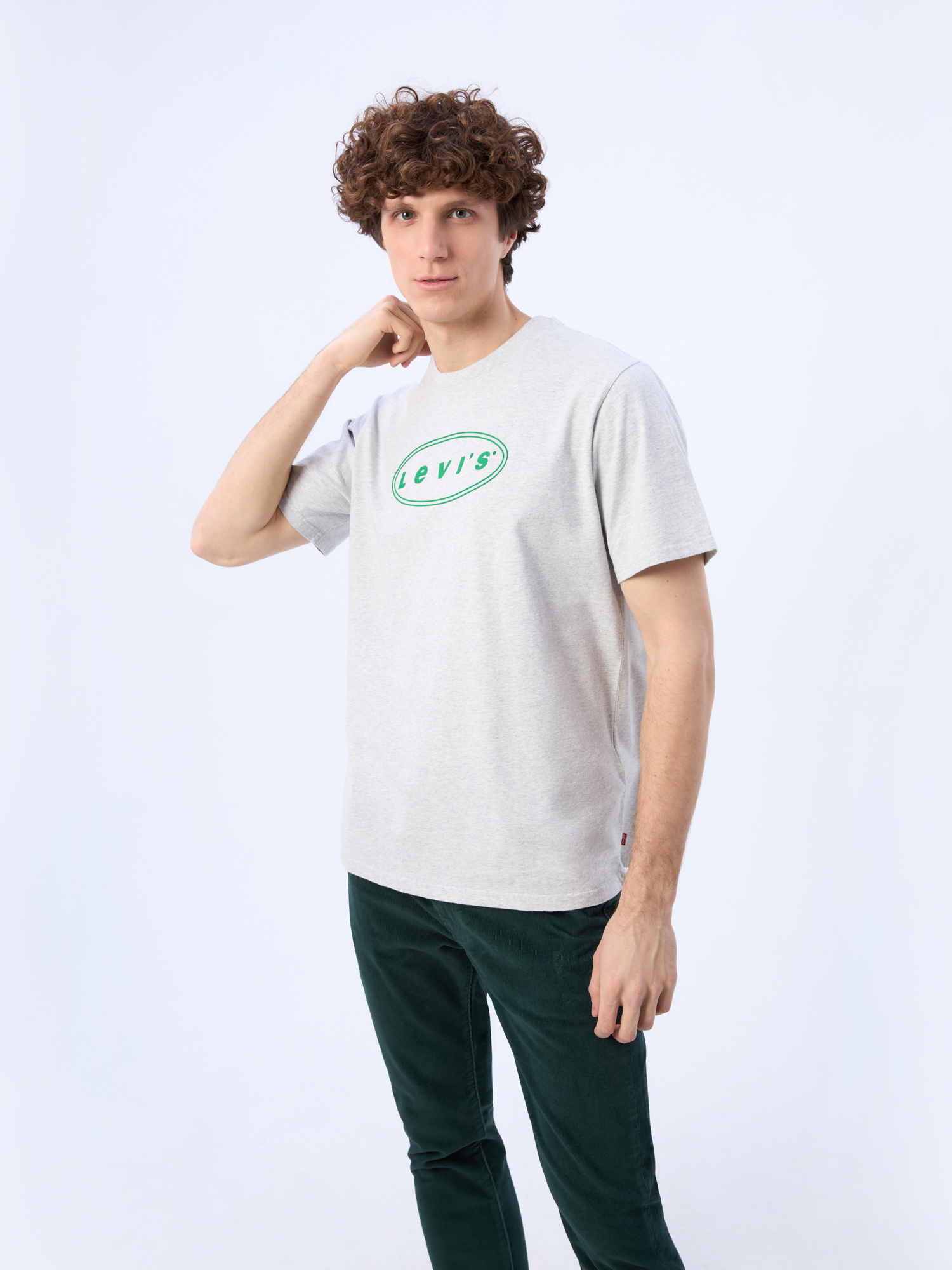 

Футболка мужская Levi's 16143 серая M, Серый, 16143-3