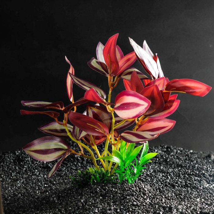 фото Пижон аква с искусственными растениями, 20х20х26 см