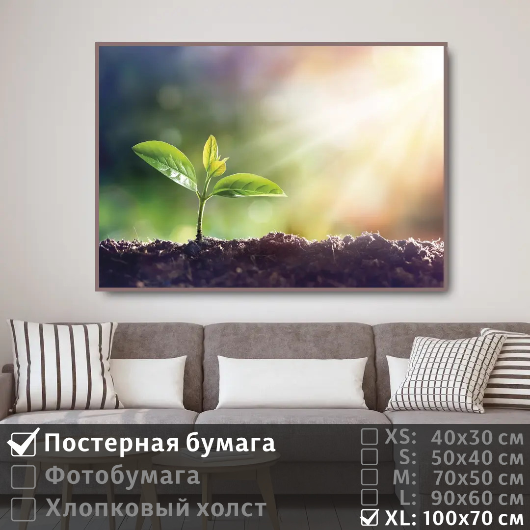 

Постер на стену ПолиЦентр Лучи на нежной зелени 100х70 см, ЛучиНаНежнойЗелени1