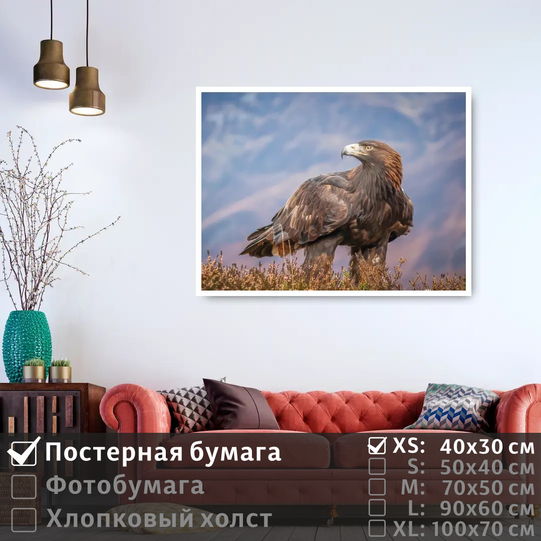 

Постер на стену ПолиЦентр Хищная птица смотрит вдаль 40х30 см, ХищнаяПтицаСмотритВдаль
